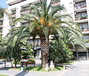Rondo' Hotel Bari Exteriör bild